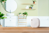Shelly Loqed - great savings offer
