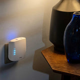 Cury by Shelly - Smart-Diffuser Starter Kit -