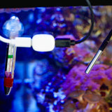 Temperatur Sensor DS18B20 mit 3.5mm Stecker für "Shelly The Pill"