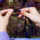 Temperatur Sensor DS18B20 mit 3.5mm Stecker für "Shelly The Pill"